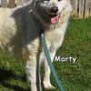 MARTY
