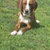 Tommy sucht seine Menschen