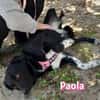 Paola - lernwillig und bewegungsfreudig