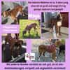 💕Maya 💕 sucht ihre Familie