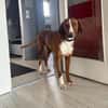 💕Maya 💕 sucht ihre Familie