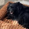 Klein♥Daisy♥ erwartet dich 01640 Coswig