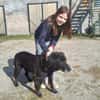 Letztes liebevolles Zuhause gesucht
