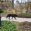 Letztes liebevolles Zuhause gesucht