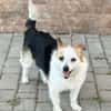 Alva, 5 Jahre alt