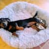 Kleiner Schatz JACK