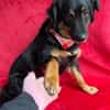 warmherziges Zuhause gesucht