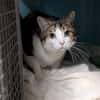 JERRY A17423