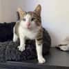 Lounis - Kleiner Charmeur sucht dich