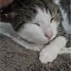 Lounis - Kleiner Charmeur sucht dich