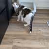 Lounis - Kleiner Charmeur sucht dich