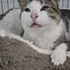 Lounis - Kleiner Charmeur sucht dich