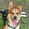 LEO sucht Familienanschluss