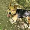 LEO sucht Familienanschluss
