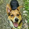 LEO sucht Familienanschluss
