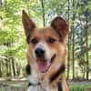 LEO sucht Familienanschluss