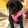 MARTHA (Martina)