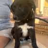 MARLON (Martina)