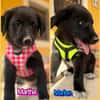 MARLON (Martina)