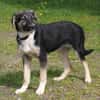 Slim King - Familienanschluss gesucht