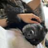 🐾Melissa🐾 sucht ihre Menschen