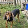 Joschi, sucht Herzensmensch