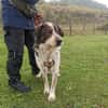 Hingucker Jonte sucht seine Familie