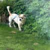 Paul + Paula herzlos ausgesetzt