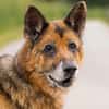 RAYSON SOS URGENT