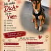 Yuna auf Pflegestelle in Weitramsdorf