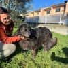 PALU🍀🍀🍀Altersruhesitz gesucht