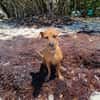 Roxy la coquine