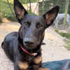 Lena