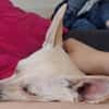 Jessie sucht ihre Familie