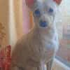 Jessie sucht ihre Familie