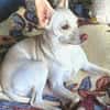 Jessie sucht ihre Familie