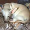 Jessie sucht ihre Familie