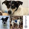 LILOFEE -Bezaubernde, zarte Seele-