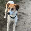 Donna - sportliche Familie gesucht