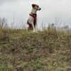 Donna - sportliche Familie gesucht