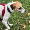 Donna - sportliche Familie gesucht