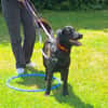 ROXY