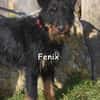 FENIX