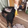MISS PIPPA * liebevolle Grande Dame