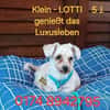 LOTTI  sucht fröhliches Zuhause
