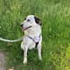 🐾 Valentina sucht ihr Zuhause 🐾