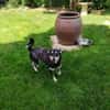 ❤Lusi- kleine Seele sucht ihr Happy End