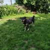 ❤Lusi- kleine Seele sucht ihr Happy End