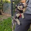 ❤Lusi- kleine Seele sucht ihr Happy End