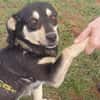 ❤Lusi- kleine Seele sucht ihr Happy End